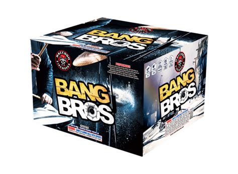 Bang Bus/Bang Bros - The 100 Best Brands of the 2000s | Complex