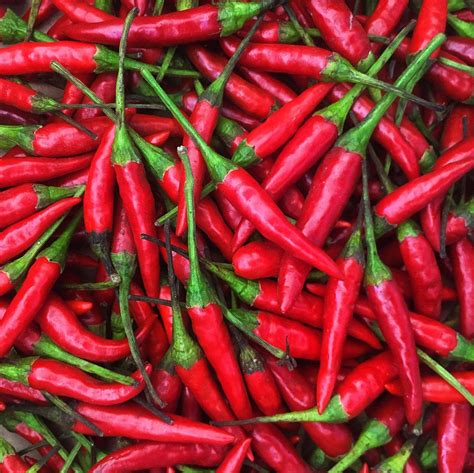 Amazon.com: KEJORA Fresh Red Thai Chili Peppers -1 Lb (16 oz) : Grocery ...