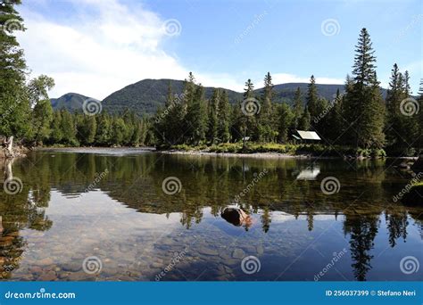 Landscape of Gaspesie National Park, Quebec Stock Image - Image of choc ...