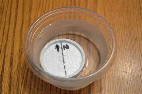 Image result for Light Sensor Experiments