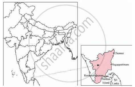 Answer These Question in 30–40 Words.When and How Did Bismillah Khan ...