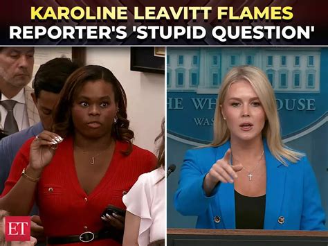 'What a stupid question': Leavitt snaps at reporter for questioning ...