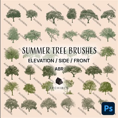Photoshop Brushes - Summer Trees Elevation - Etsy