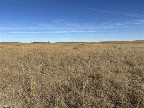 Simmons Range | Absolute Auction | 803.56 Acres | Agri Affiliates