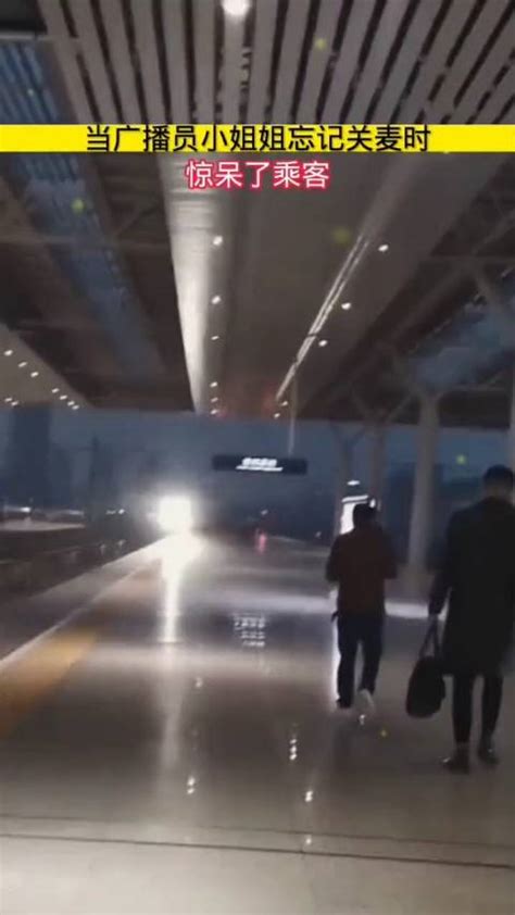 多名大妈高铁唱歌最新素材