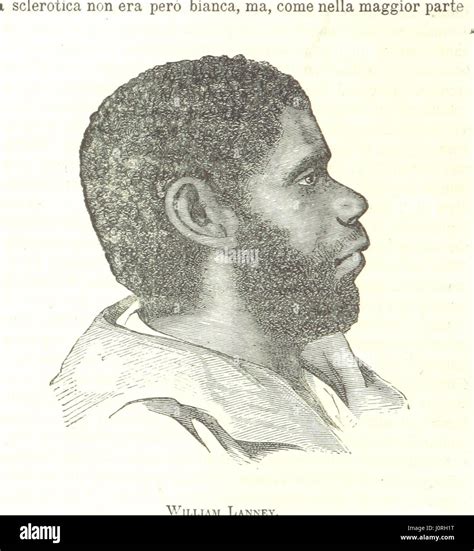 This work provides historical and ethnological insights into the extinct Tasmanian people. It ...