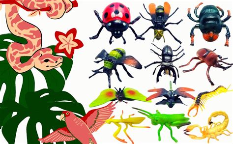 Buy Mallexo Realistic Rubber Animal Insect Toys for Kids Set Big Size ...