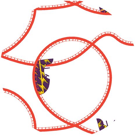 Bummer Boxers - Garden of Tease | Comfortable & Stylish Underwear