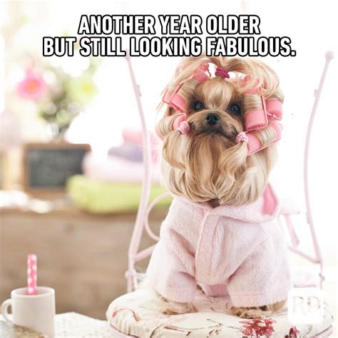30 of the Funniest Happy Birthday Memes | Reader's Digest