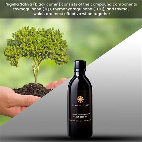 Egyptian Cold Pressed Black Cumin Seed Oil In UK – BLACK SEED LAB