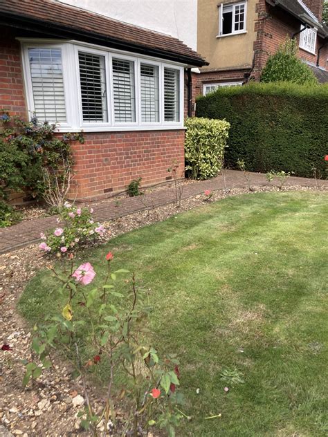 FRONT GARDEN - Thrity Mama Garden Design