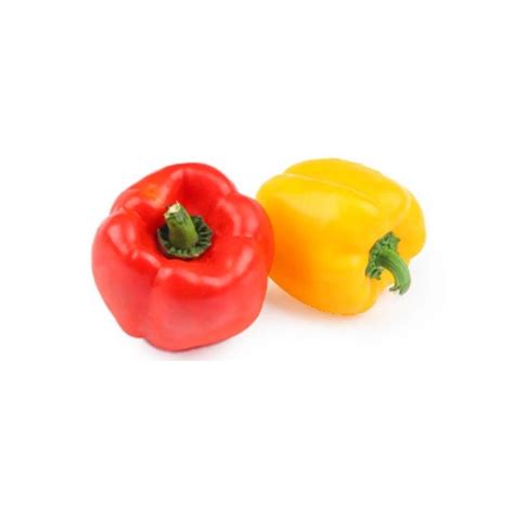 Exotic Vegetables: Buy Exotic Vegetables Online at Your Convenience ...