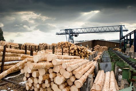 广西农行防城港分行助力木材加工产业发展-中国木业网
