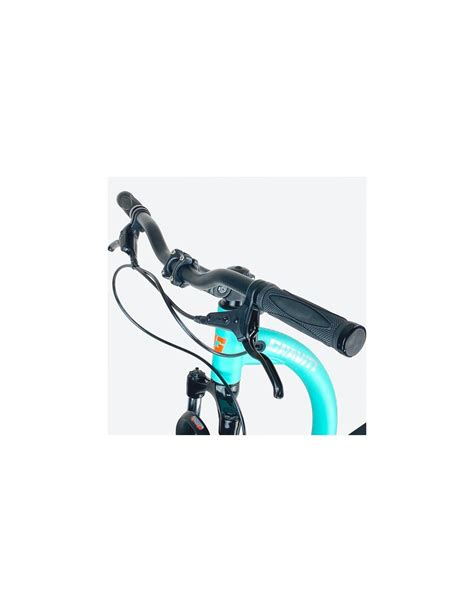 GRAVITY PIXIES, the mountain scooter for kids.