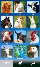 ZOOLA Free animal sounds android apk free download : Dertz