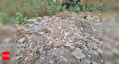 Chandigarh: Debris, drug vials grow in south forest | Chandigarh News ...