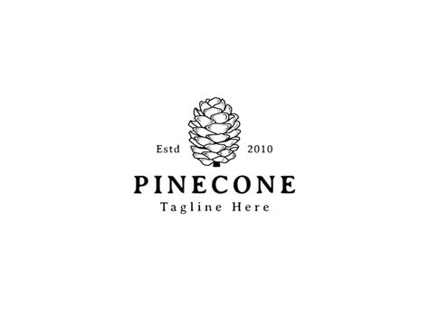 Simple and premium pinecone logo design vector illustration pinecone ...