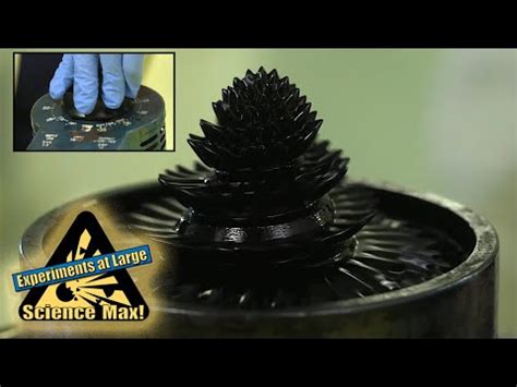 Science Max Magnets 的图像结果