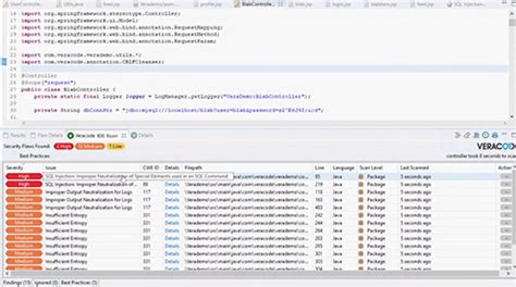 Image result for Veracode SCA