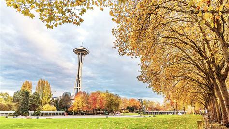 Washington 的图像结果