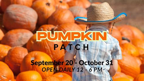 Pumpkin Patch St Louis