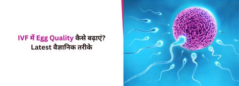 Best IVF Centre in Jalandhar (#No1) Test Tube Baby Centre in Punjab ...