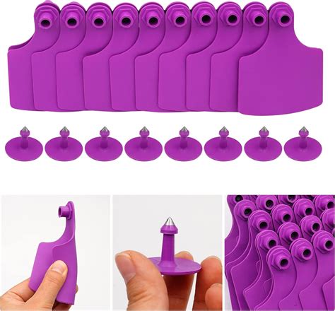 Buy LIUCOGXI 100 Sets Cattle Ear Tags Blank Oversize Big Livestock Cow ...