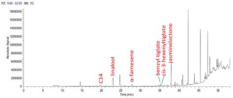 Genetic Characterization of Gardenia jasminoides Ellis Genotypes ...