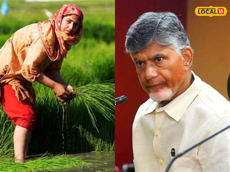 Subsidy: రైతులకు చంద్రబాబు సర్కార్ భారీ గుడ్ న్యూస్.. 5 ఎకరాల లోపు ఉన్న ...