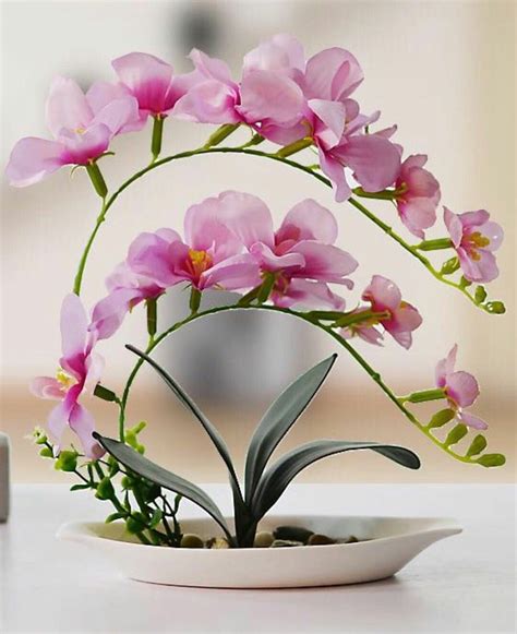 Stunning Pink Orchid Flower Arrangement