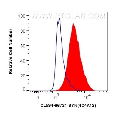 SYK antibody (CL594-66721) | Proteintech