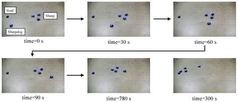 Analysis of Sheepdog-Type Robot Navigation for Goal-Lost-Situation