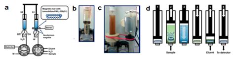 Lab-in-Syringe, a Useful Technique for the Analysis and Detection of ...