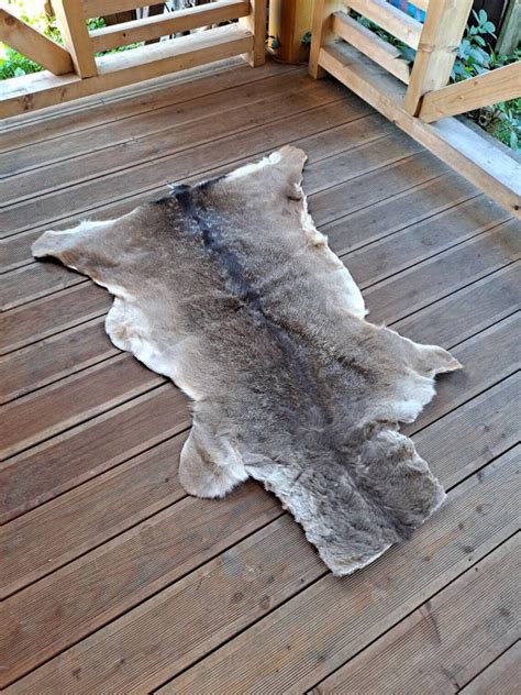 Large Fallow Deer Skin Hide Rug Fur Dama Dama Living Room | Etsy