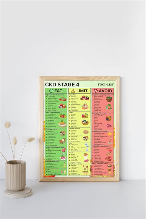 Buy CKD Stage 4 Food List Printable, Stage 4 Kidney Disease Food Guide ...