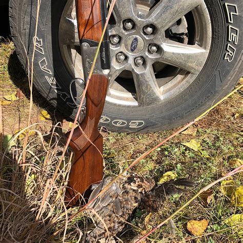 WASHBURN INN - Hotel Reviews, Photos, Rate Comparison - Tripadvisor