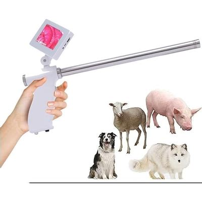 Lwjunmm Insemination Kits for Cows Cattle,Visual India | Ubuy