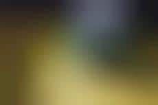 Computer Screen Business Cards 的图像结果