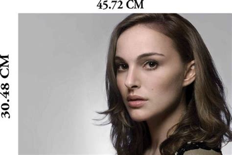 Celebrity Natalie Portman Poster|Poster For Living Room/Studio/Hostel ...