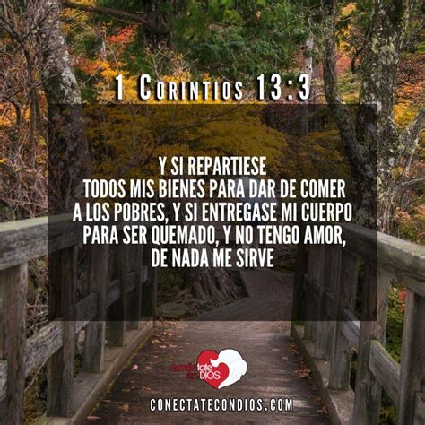 Los 7 Mejores Versículos para la Ofrenda - Conéctate Con Dios