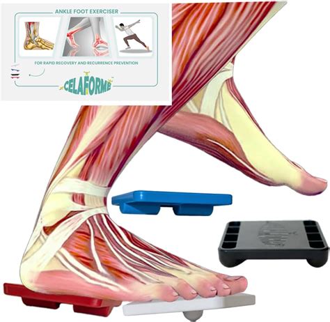 CELAFORME Ankle Foot Exerciser® Ankle Strengthener for ankle India | Ubuy