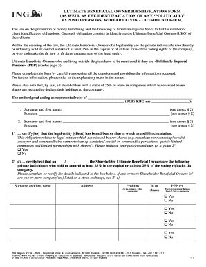 Ultimate Beneficial Owner Identification Form - Blank Fillable Template ...