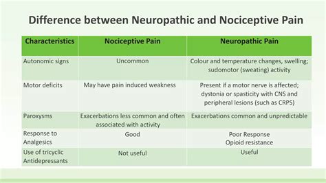 Neuropathic pain vs nociceptive pain | PPTX