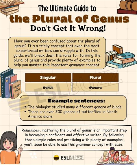 What Is The Plural Form Of Zebra at Jackie Proctor blog