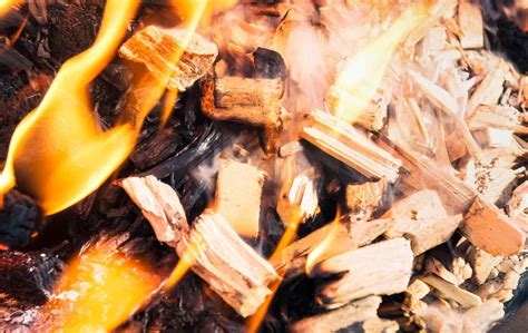 Forestry Waste Chipper in Solapur, Maharashtra, India | Biomass Drum ...