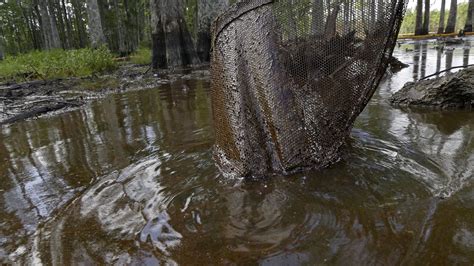Bayou Corne sinkhole featured on LPB show Jan. 28