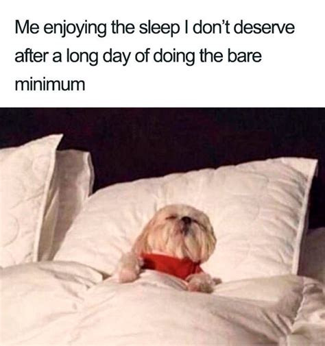 The Funniest Sleep Memes that Sleep Lovers will Relate to