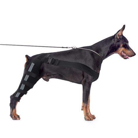 SKYXIU Dog Knee Brace,Dog Double Rear Leg Brace,Canine Hock Brace for ...