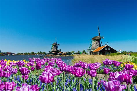 荷兰签证费用,办理荷兰签证需要多少钱-第六感度假