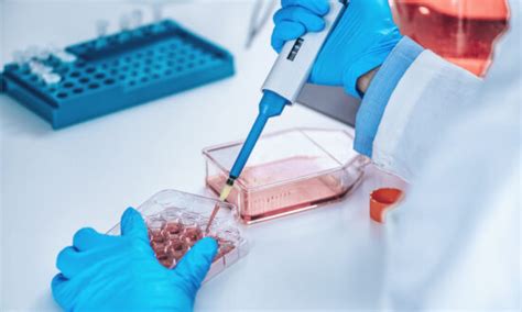 Biotechnology Examples Humans 的图像结果